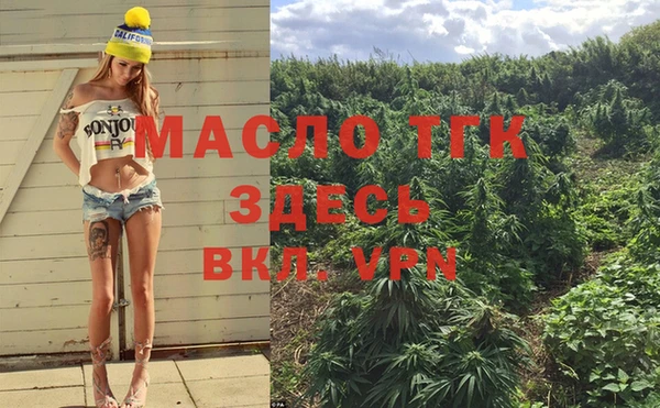 гидра Армянск