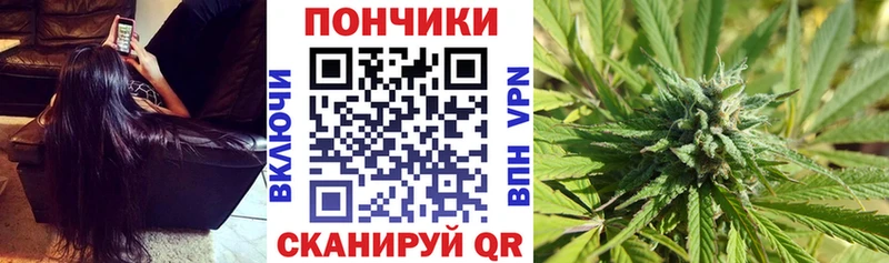 Бошки марихуана планчик omg как зайти Пенза
